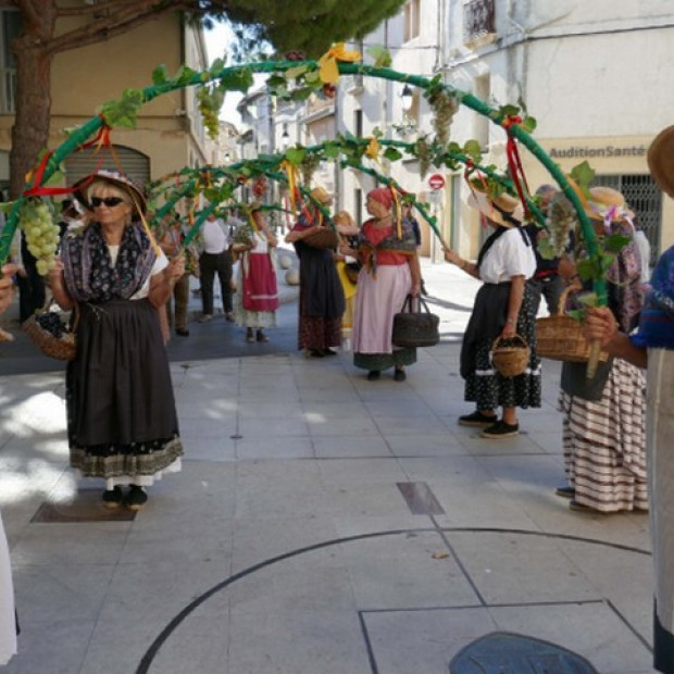Tradition - Frontignan fête la fin des vendanges.